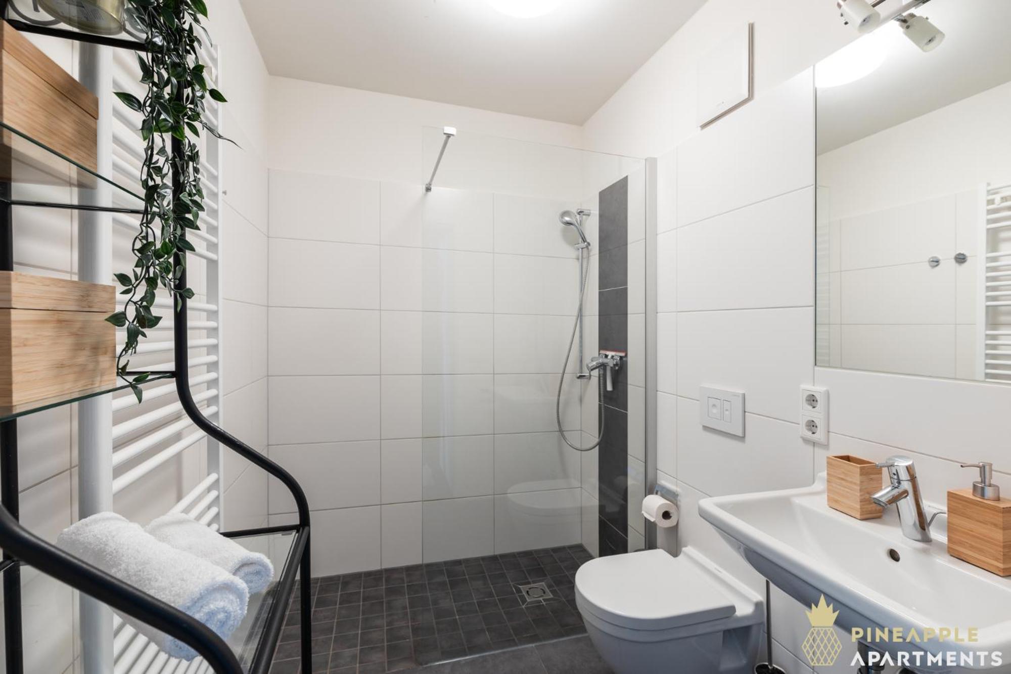 Pineapple Apartments Studio-Apartment Am Zwinger ドレスデン エクステリア 写真